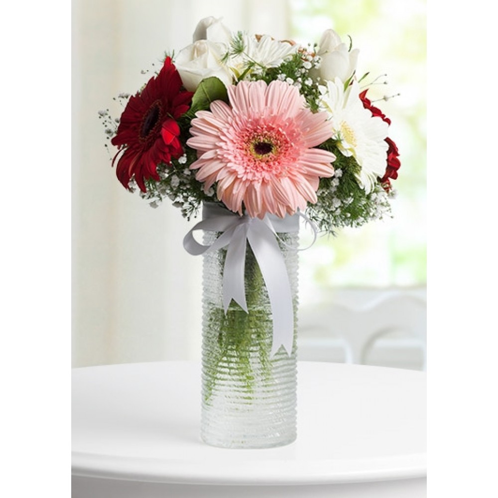 vazoda gerbera 