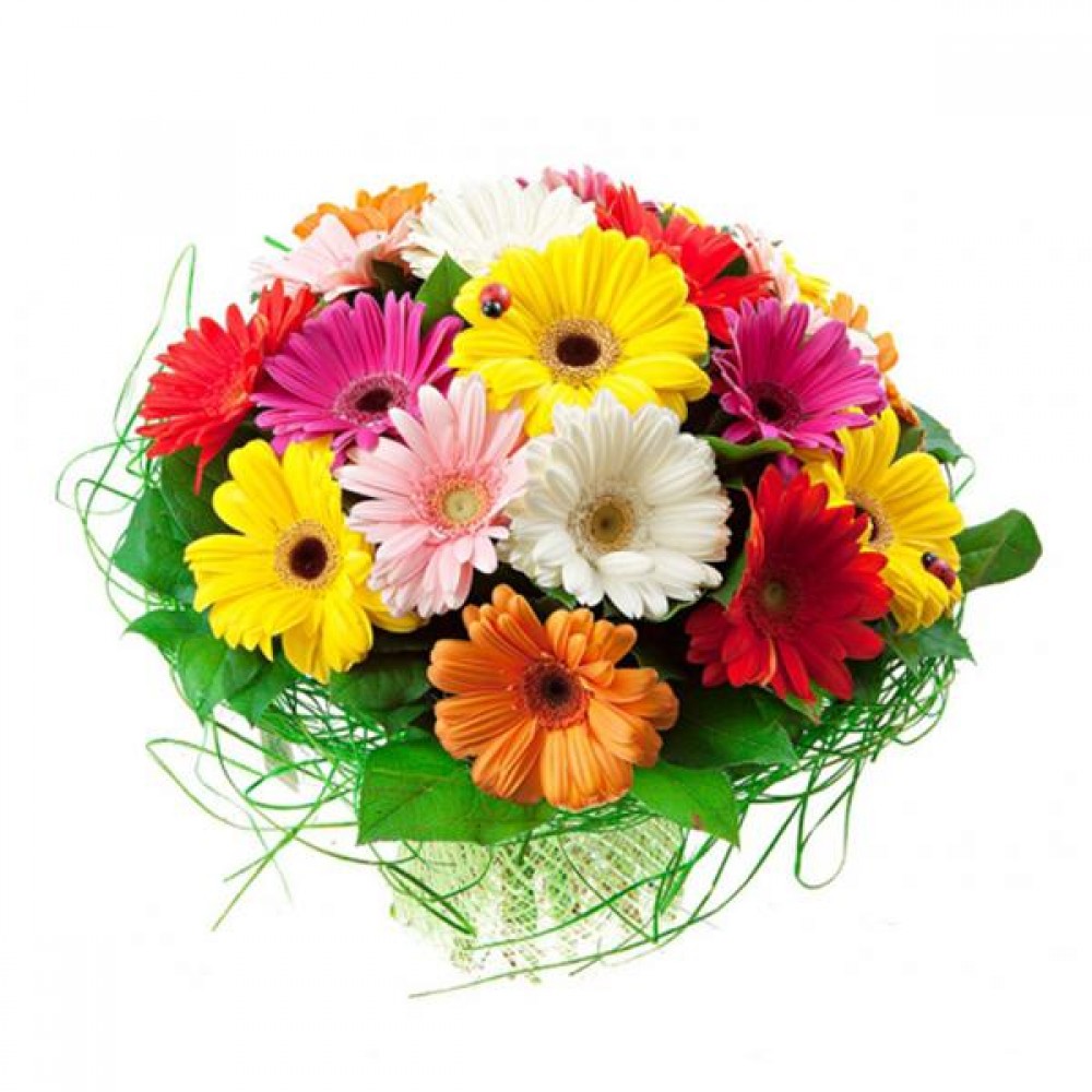 gerbera renkli buket 