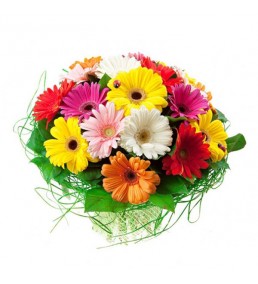 gerbera renkli buket 