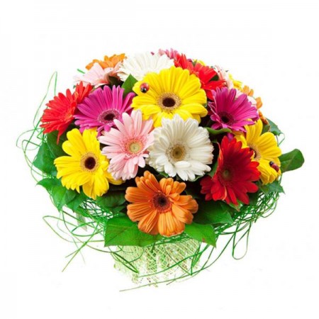 gerbera renkli buket 