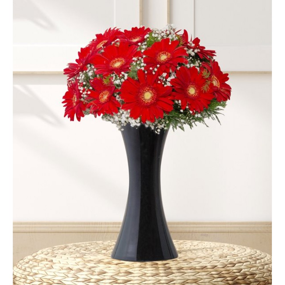 vazoda gerbera 